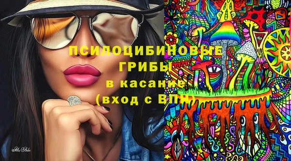 спиды Вяземский